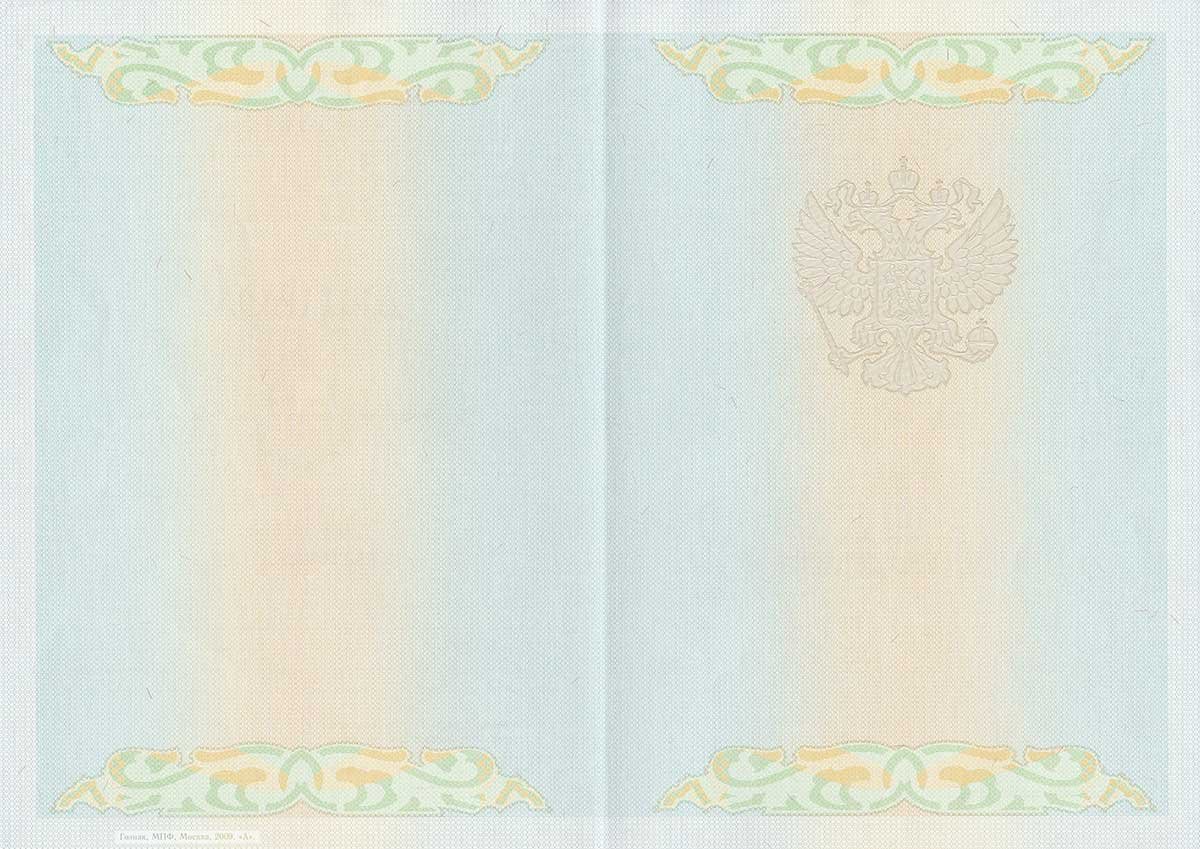 Диплом специалиста 2009-2011 год 