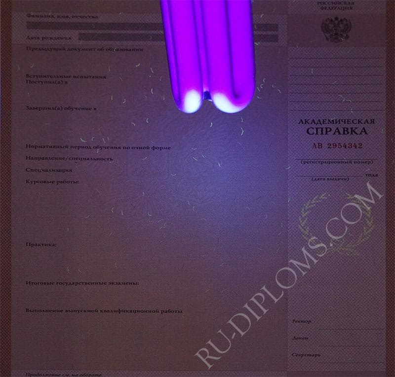 Академическая справка  