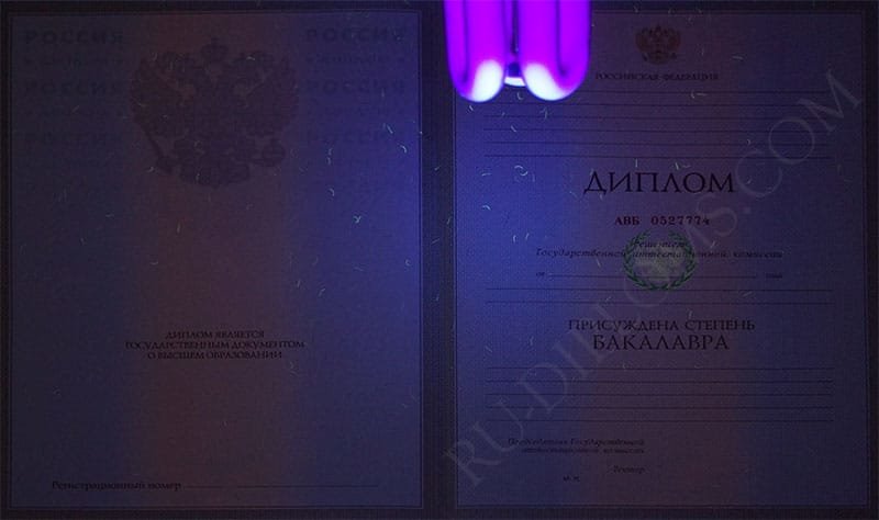 Диплом бакалавра 1997-2003 год  